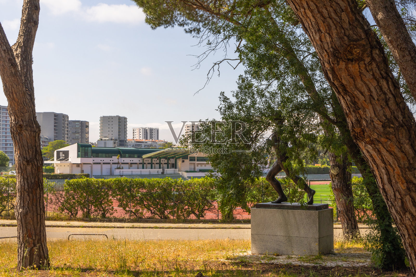 透过树木，里斯本大学体育场的宁静景色照片摄影图片