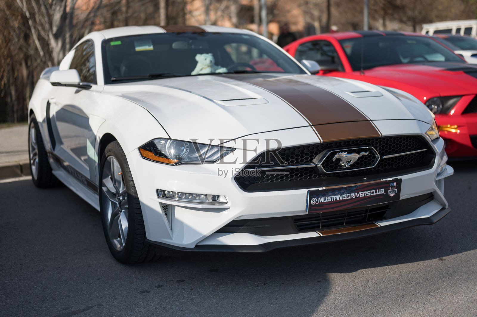 第六代美国汽车，2018年重新设计或翻新，白色带棕色条纹照片摄影图片