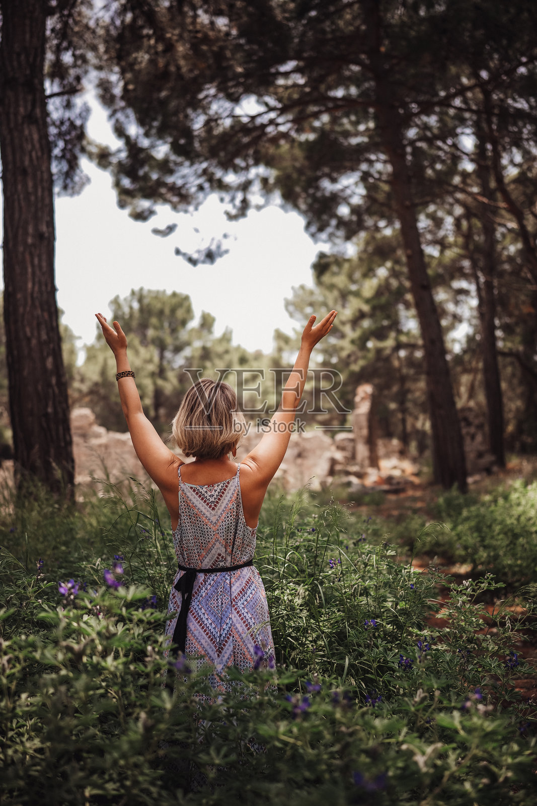 在宁静的森林里，一位女士站在高大的树木和生机勃勃的树叶之间，拥抱大自然照片摄影图片