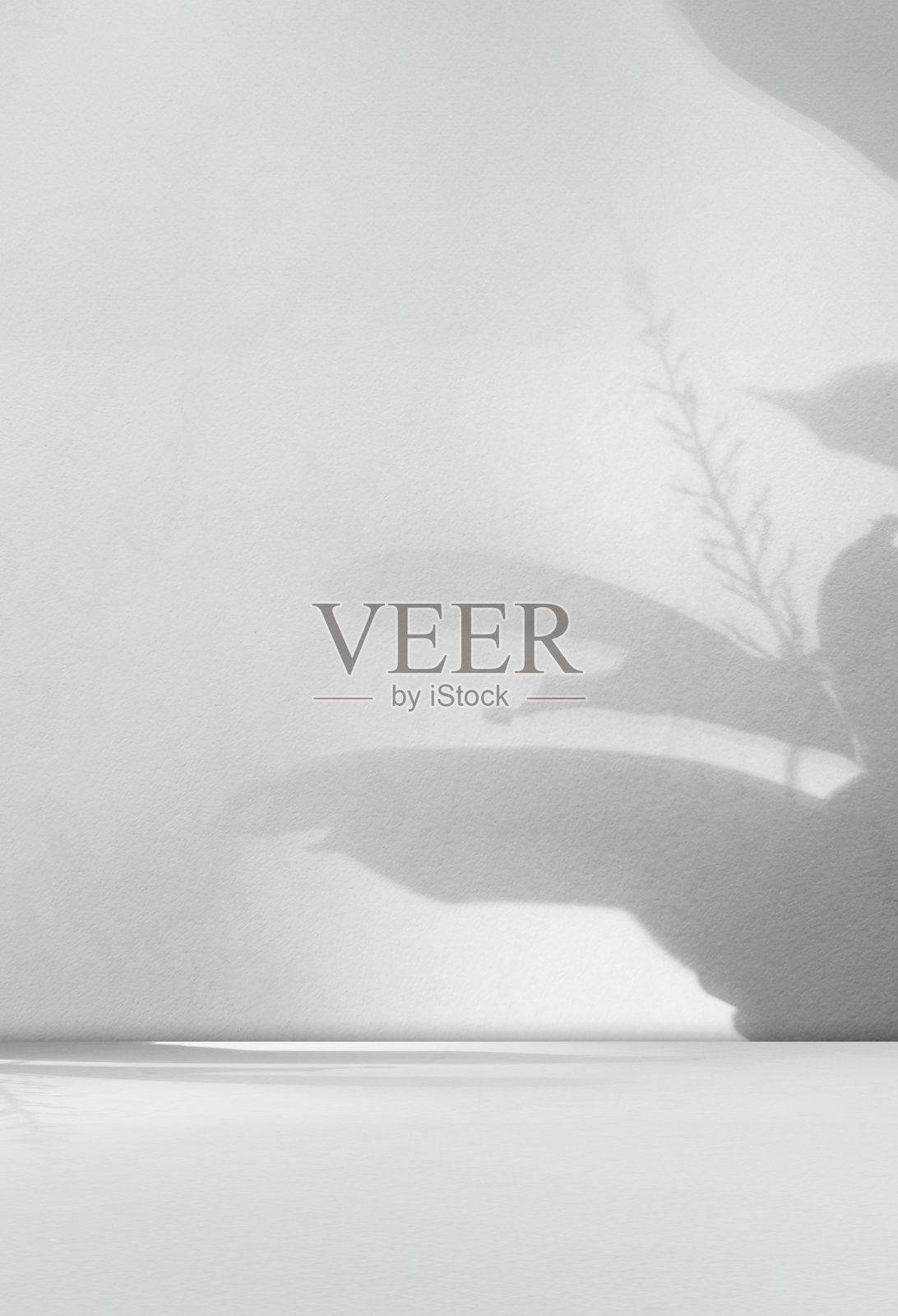 背景墙地板阴影灰叶白光厨房抽象工作室产品最小的房间大理石模型展示舞台场景平台货架空间图案背景桌子秋天夏天旅行。照片摄影图片