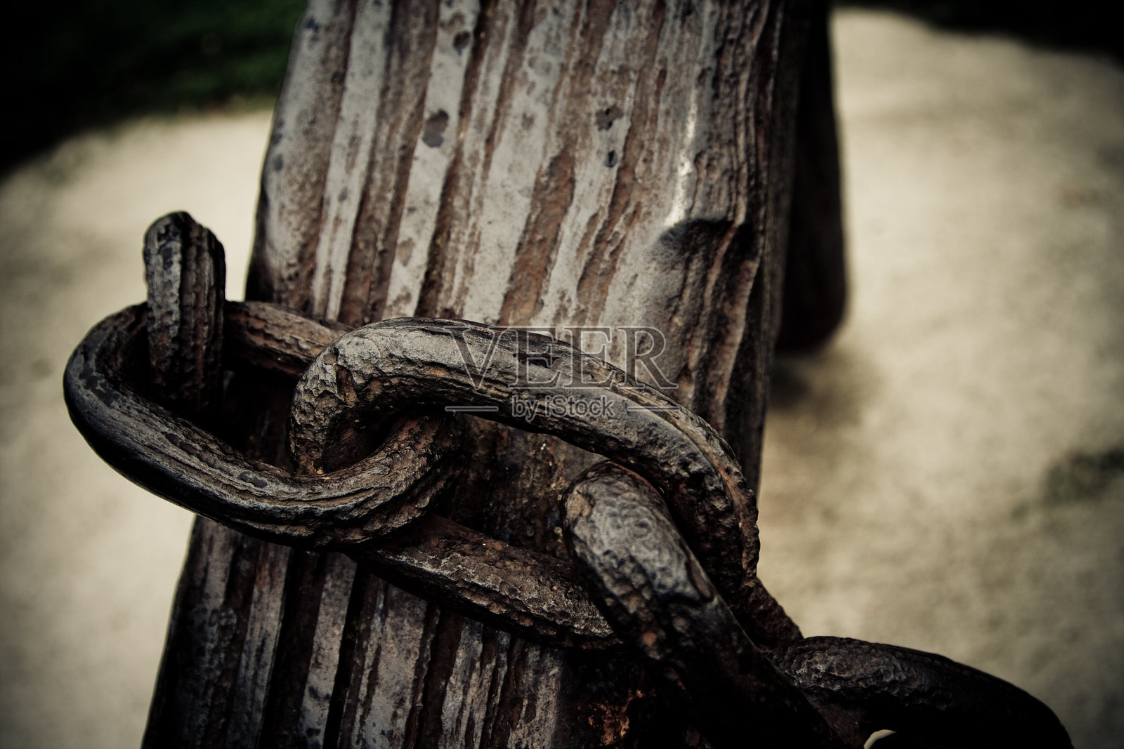 链照片摄影图片