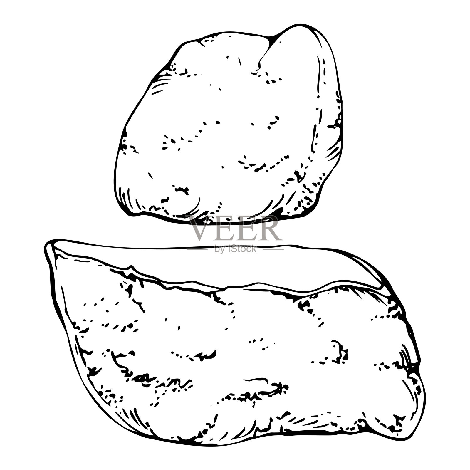 传统日式稻利寿司豆腐包口袋，玉烧煎奶酪煎饼煎蛋卷，素食素食食品。手绘矢量笔，墨水。插图餐厅，咖啡馆菜单，食谱书插画图片素材