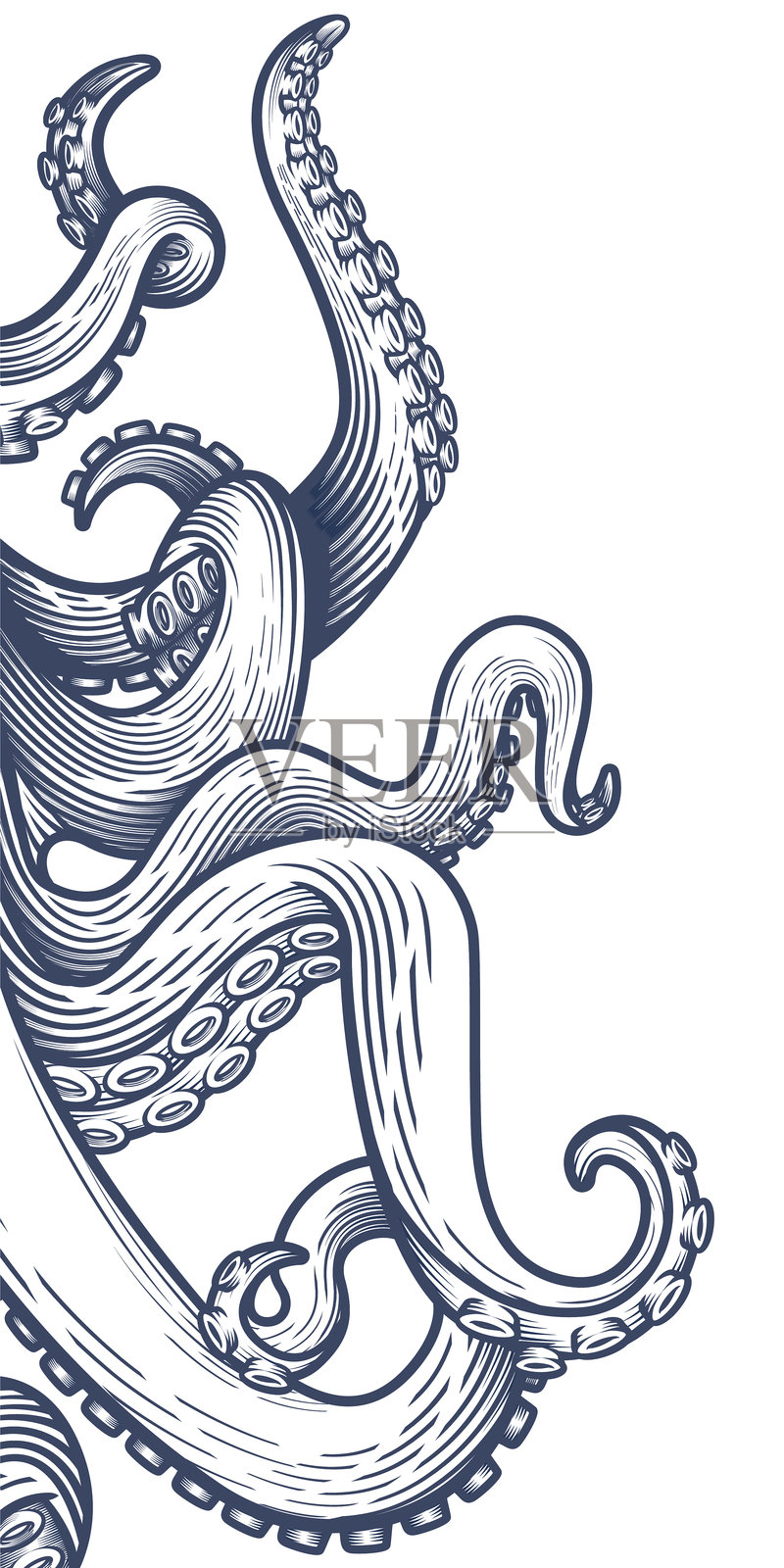 章鱼的触手。插画图片素材