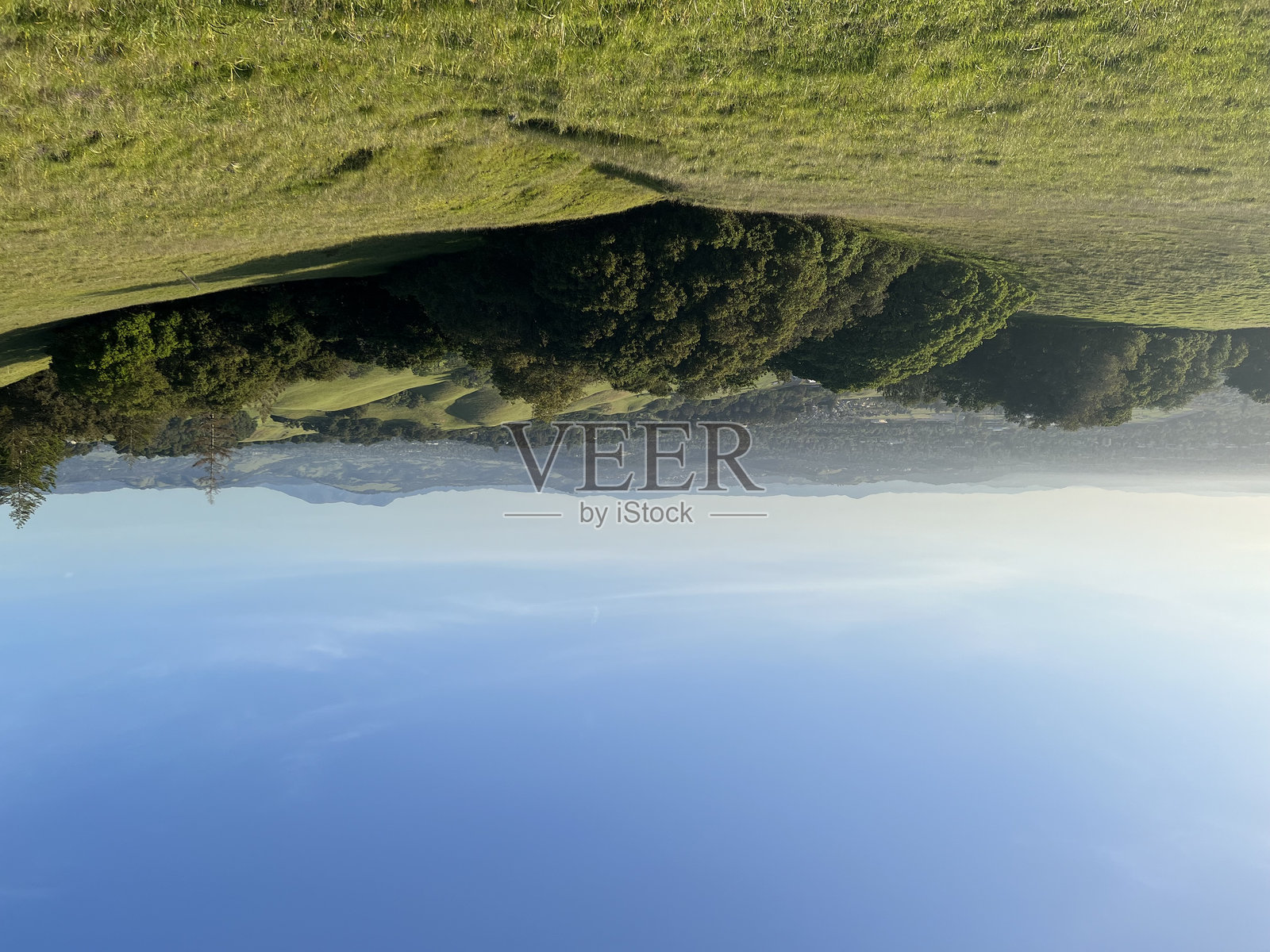 泰勒山地区公园，索诺玛县，加利福尼亚照片摄影图片