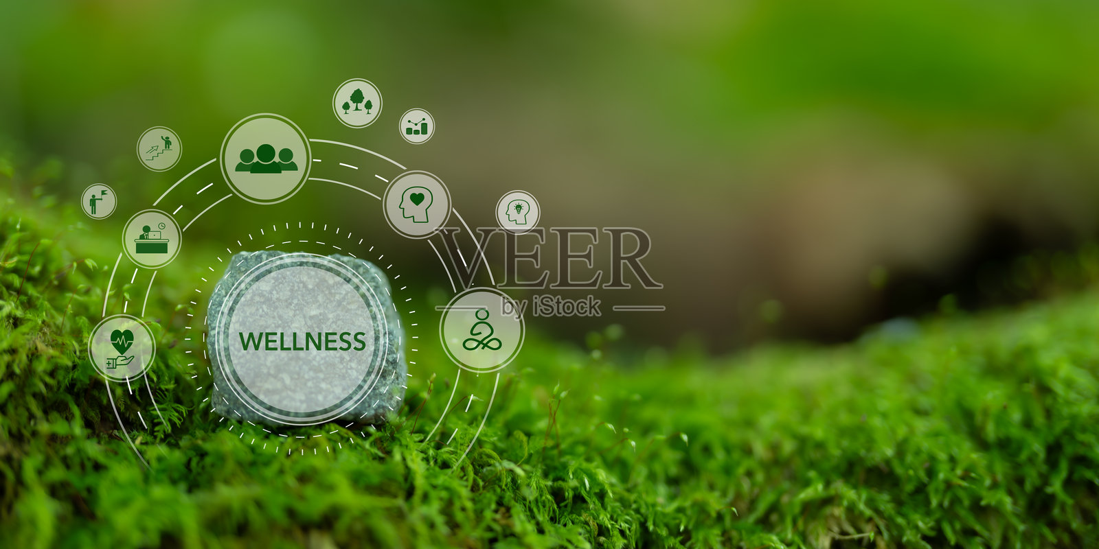健康的概念。绿色自然背景上的健康、正念、心理健康、幸福、金融稳定和增长图标。平衡和整合实现整体福祉照片摄影图片