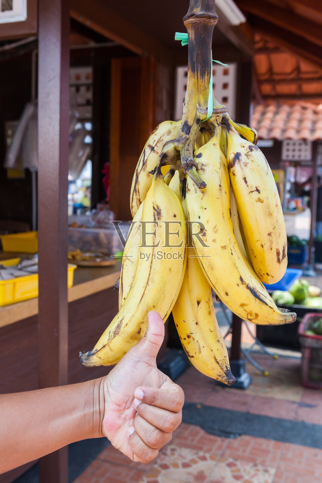 新鲜成熟的香蕉束。照片摄影图片
