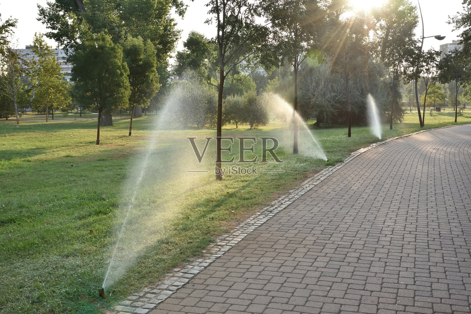 自动洒水系统早上给草坪浇水照片摄影图片