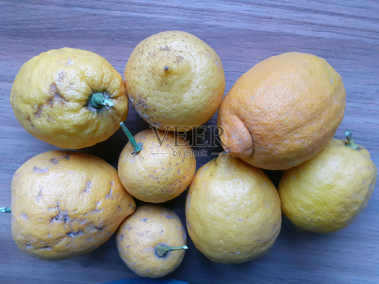 几个撒丁岛厚皮柠檬，2个照片摄影图片