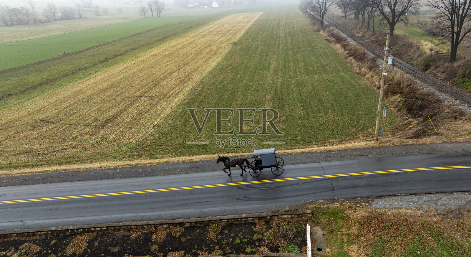 阿米什人的马车在雾蒙蒙的早晨沿着一条安静的乡村小路行驶照片摄影图片