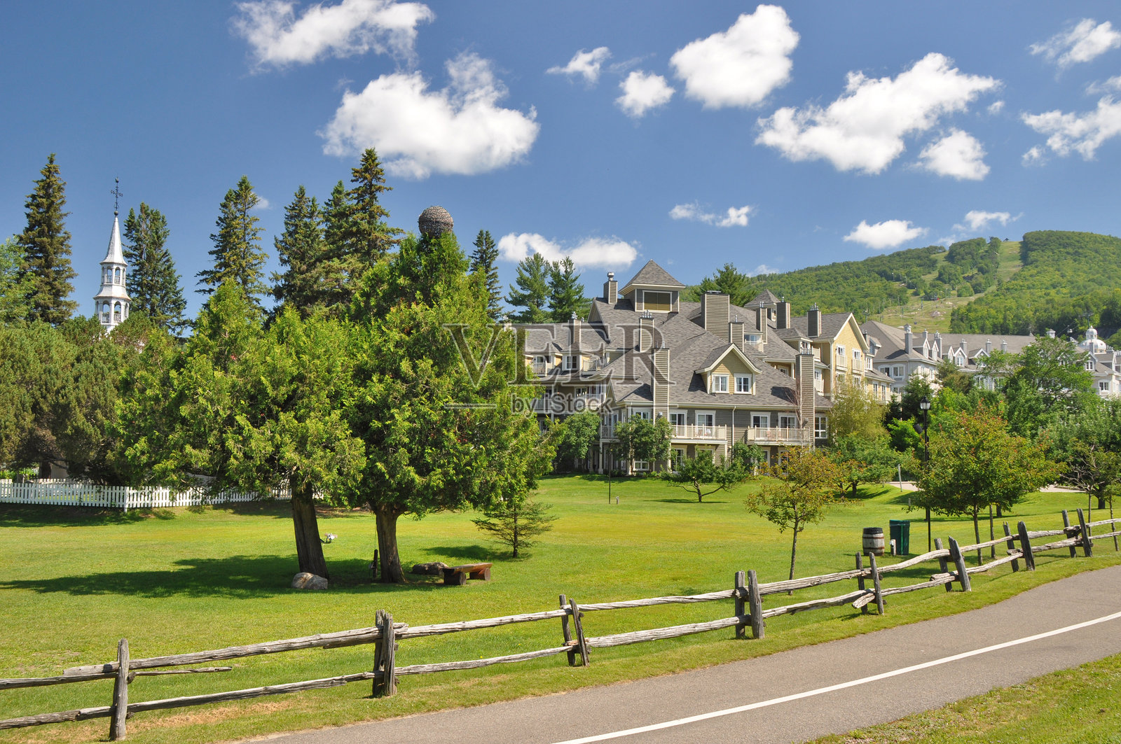 蒙特用弹簧颤动的照片摄影图片