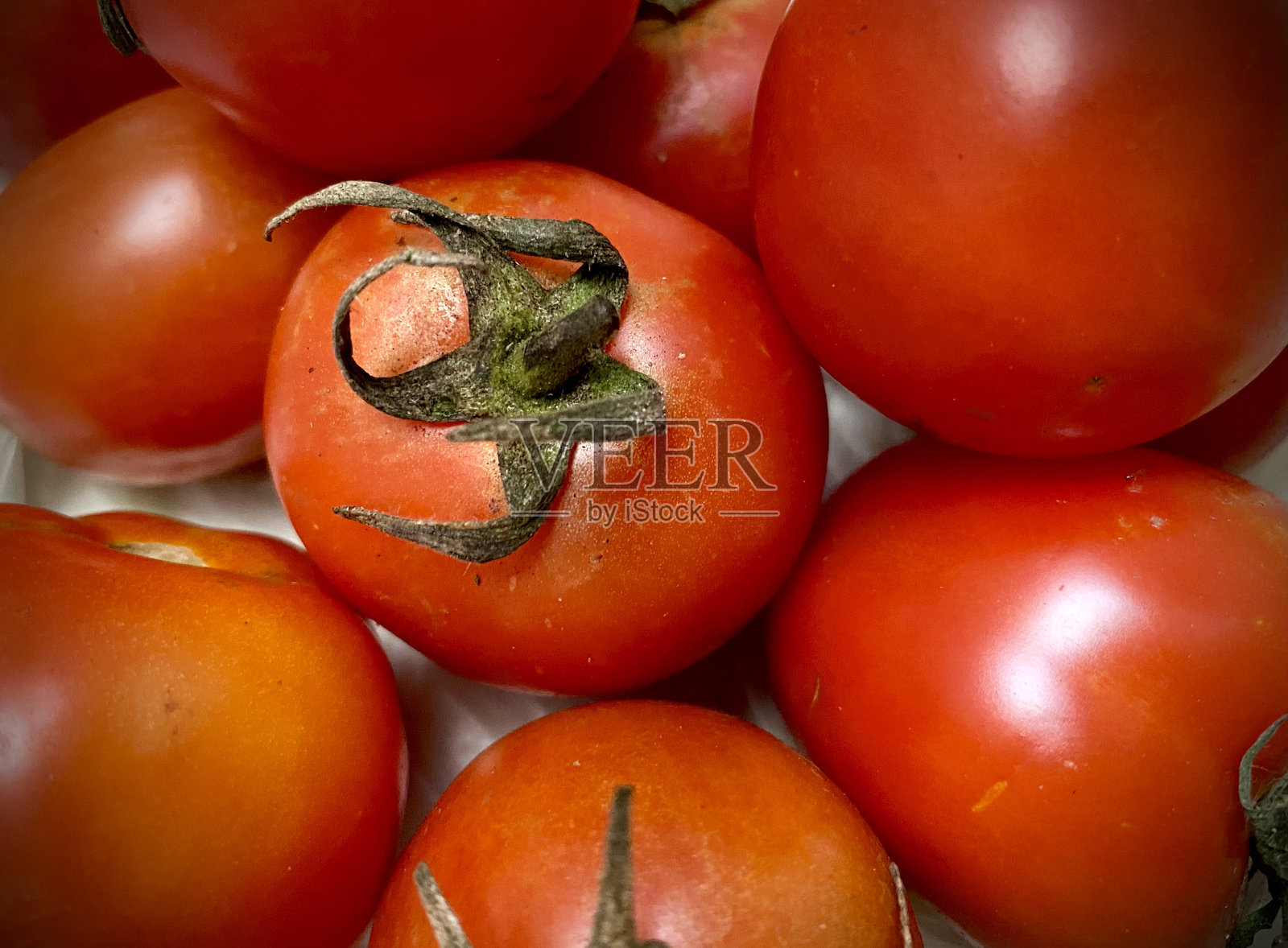 新鲜的红番茄照片摄影图片