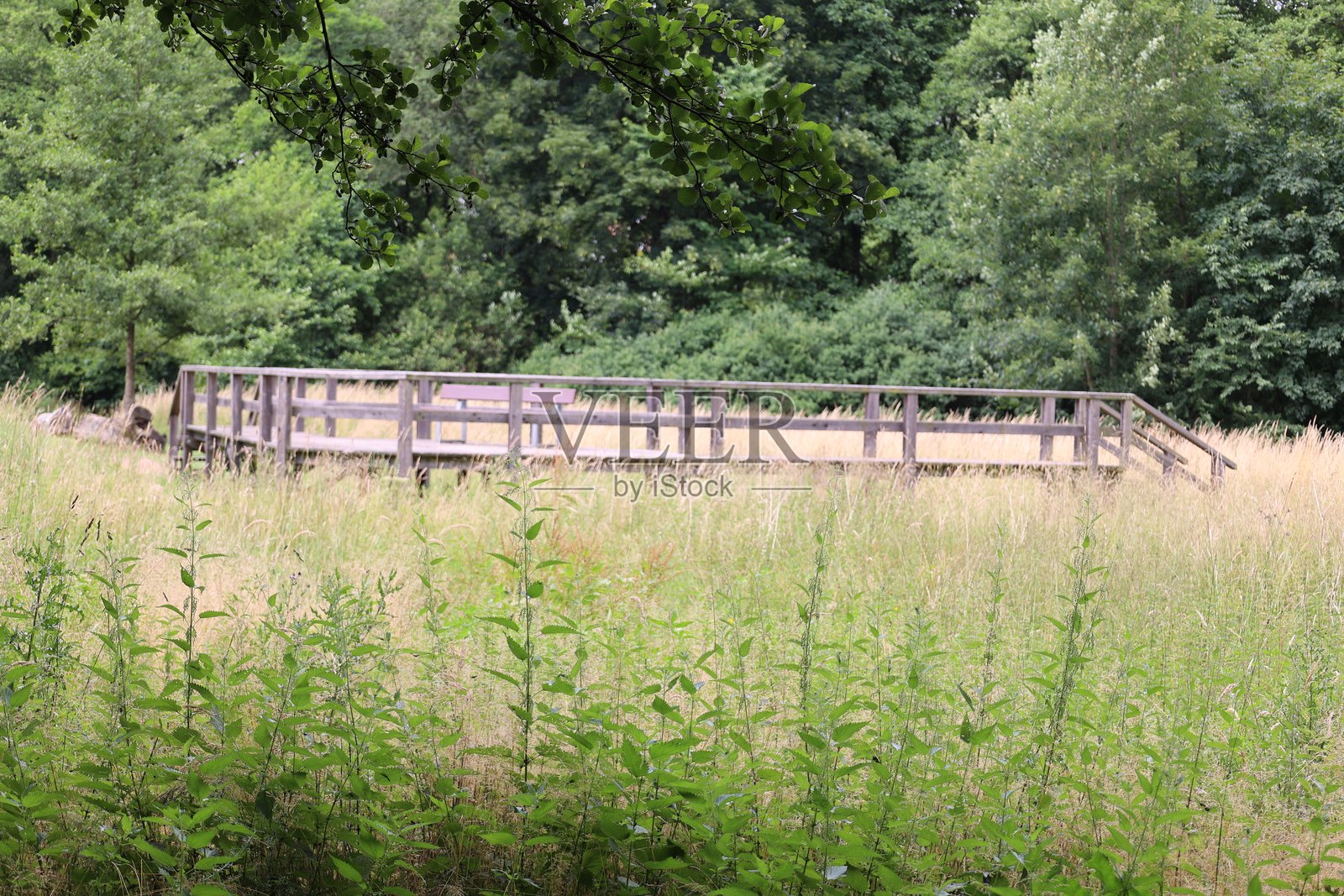 来自Bad wnnenberg的印象照片摄影图片