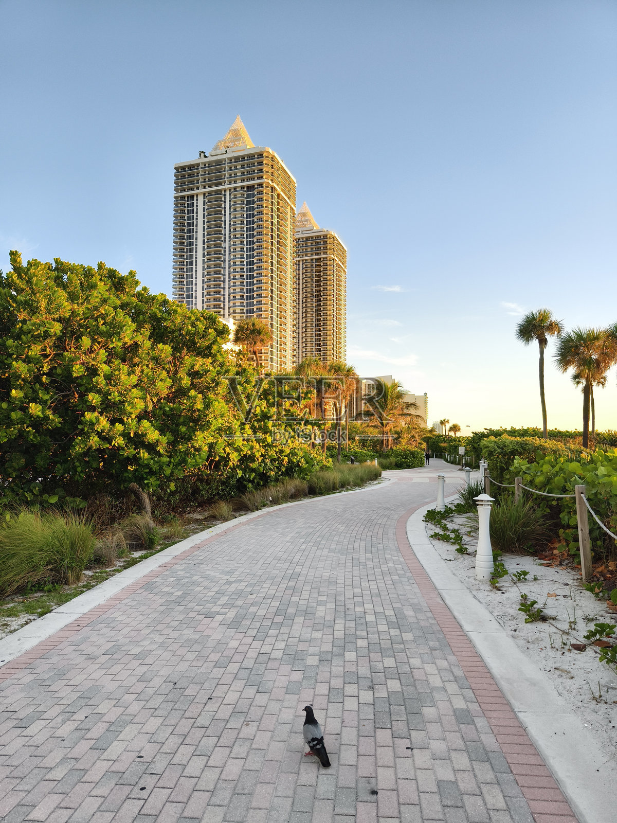 佛罗里达州迈阿密海滩——清晨，从木板路上望去，位于佛罗里达州迈阿密海滩的钻石塔公寓。照片摄影图片