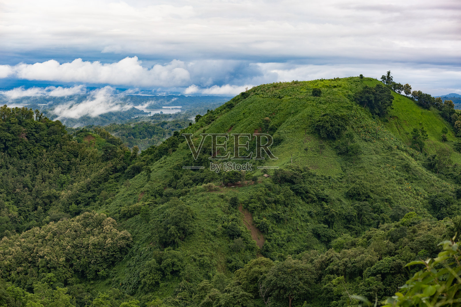 Jhum，轮作耕作，是查克玛人在山坡上的传统耕作方式。照片摄影图片