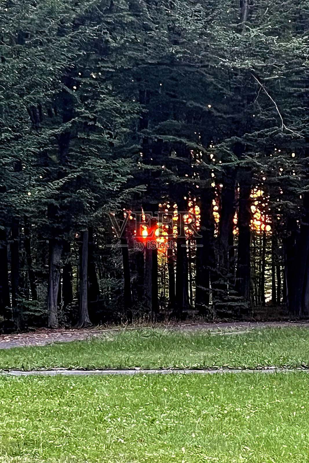 落日。壮丽的日落照片摄影图片