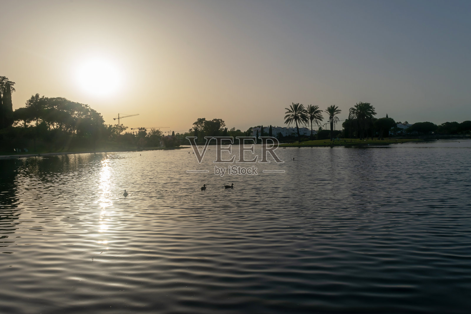 罗塔州的湖泊公园。加的斯省。西班牙。欧洲。照片摄影图片