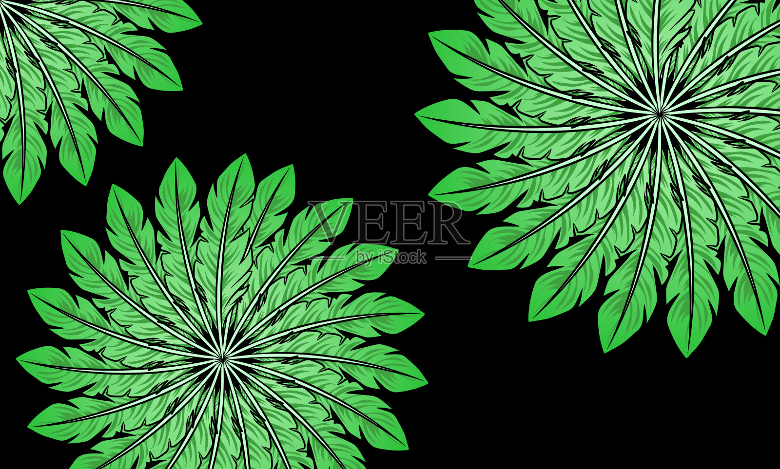 绿色羽毛在深色背景上形成一个圆圈插画图片素材