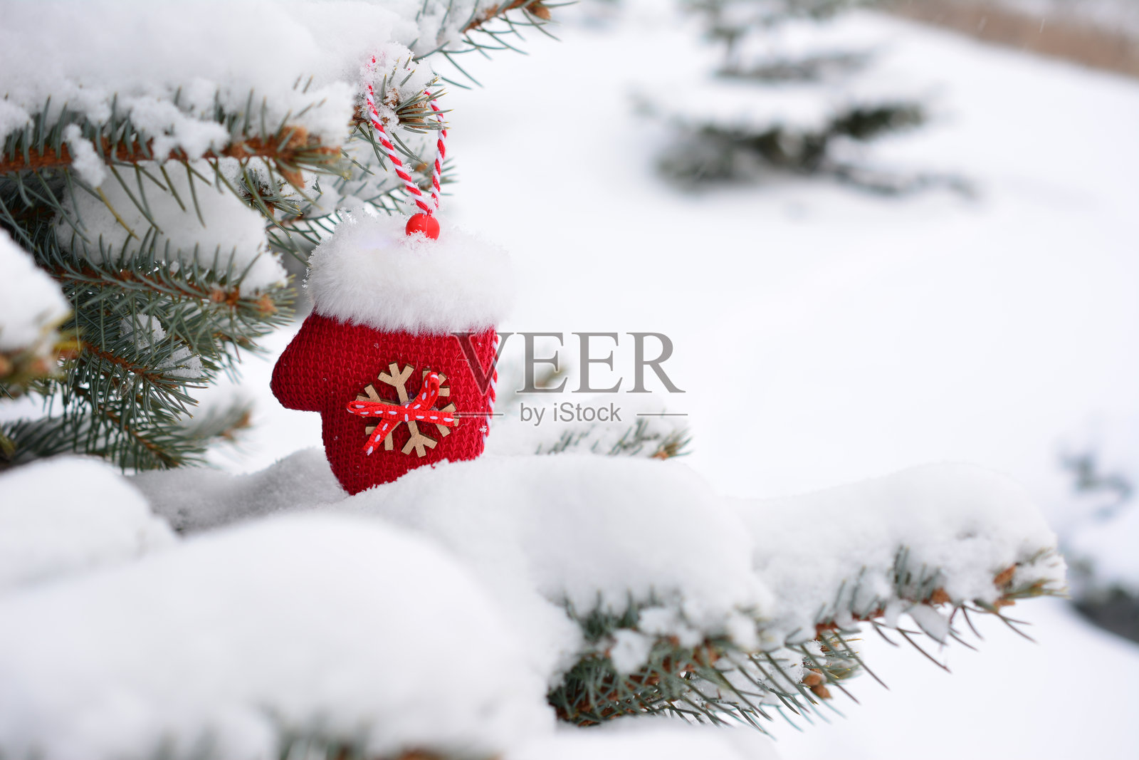 一个红色的装饰品挂在一个雪云杉复制空间照片摄影图片