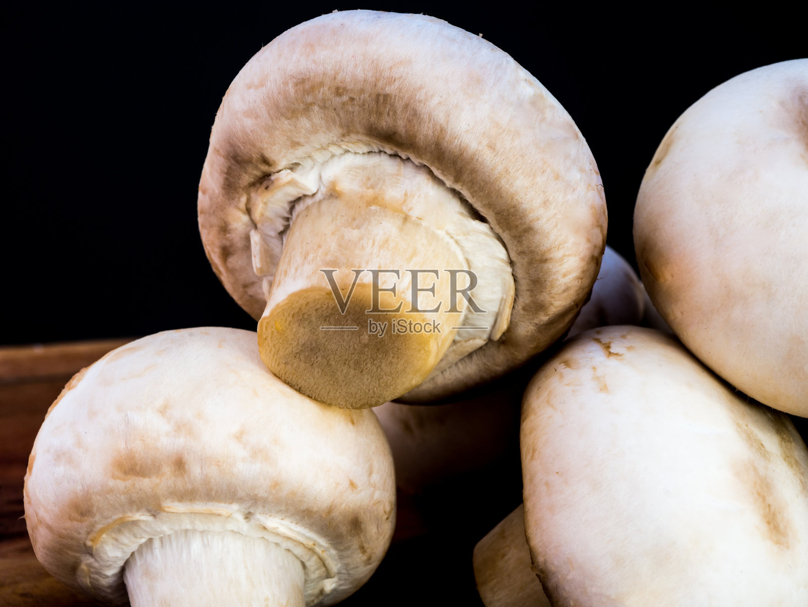 白蘑菇照片摄影图片