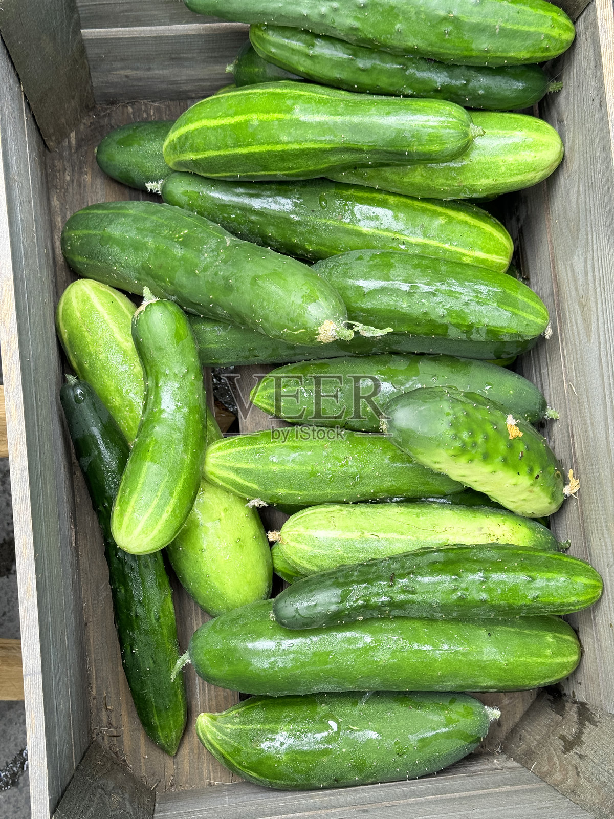 市场摊位上展示的木条箱，里面装着一堆新鲜采摘的、成熟的本土绿黄瓜(Cucumis sativus)照片摄影图片