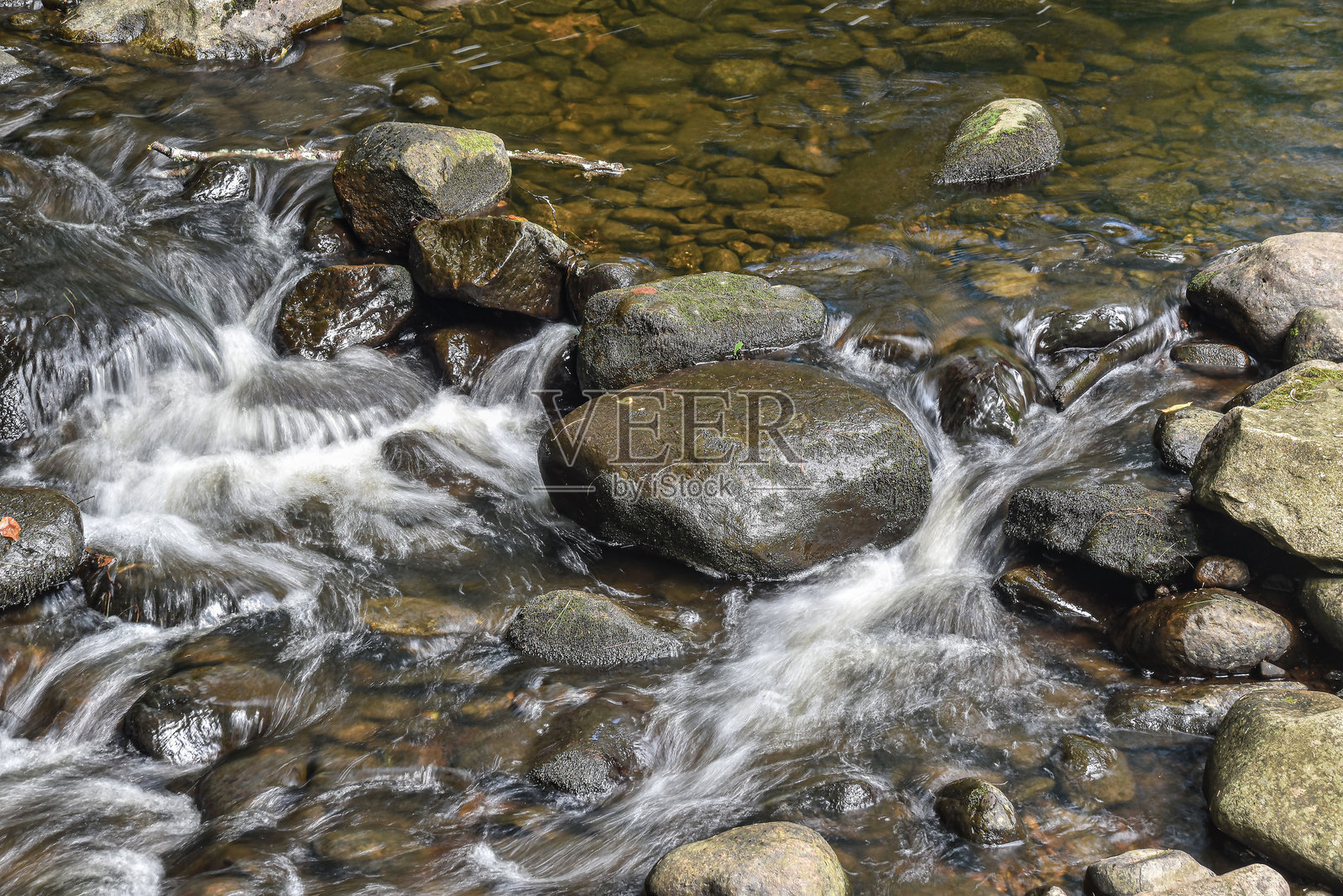 一条小溪穿过森林的特写镜头照片摄影图片