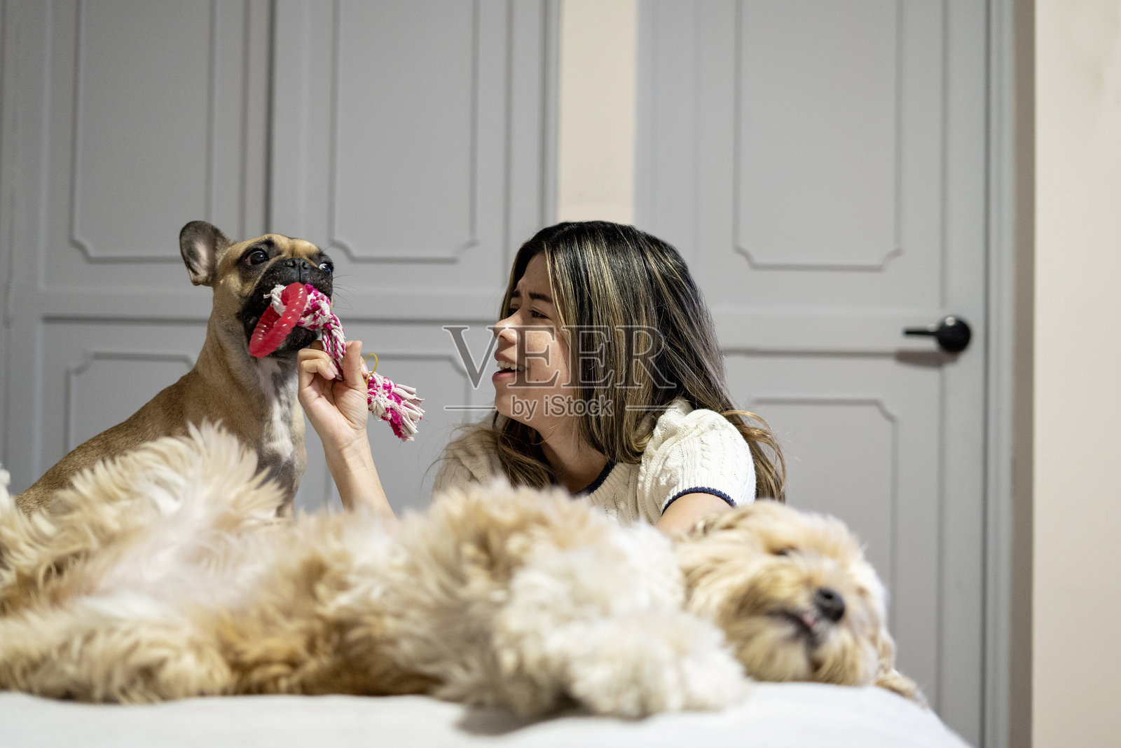 一位妇女在家里的卧室里和她的狗玩耍。照片摄影图片