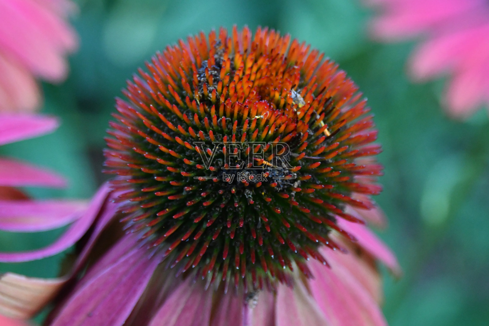 郊外的照片照片摄影图片