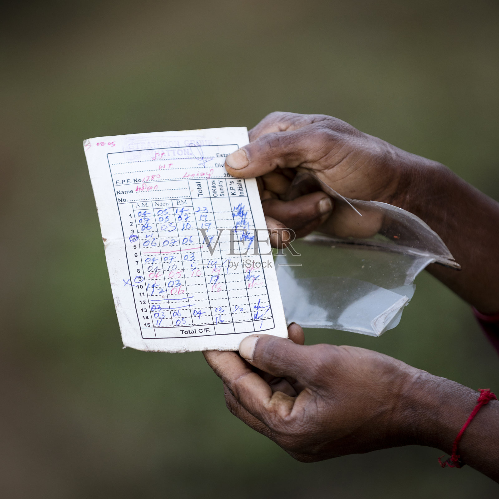 斯里兰卡茶庄采茶人的采茶记录照片摄影图片