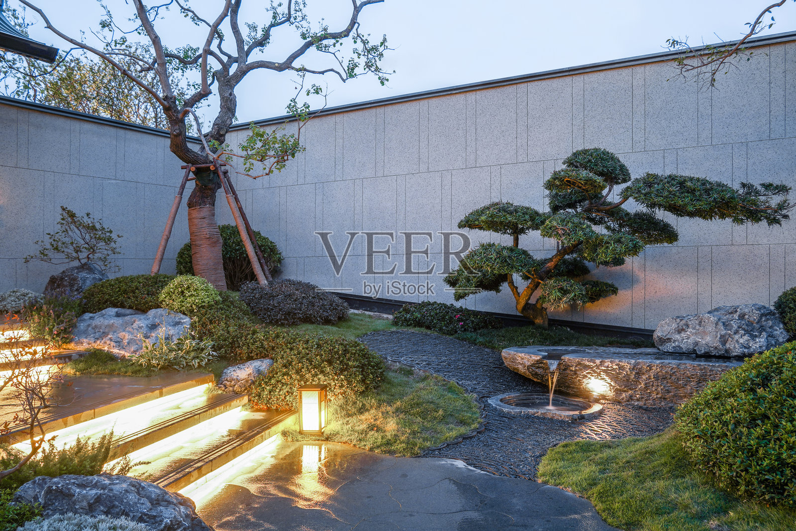 花园景观照片摄影图片