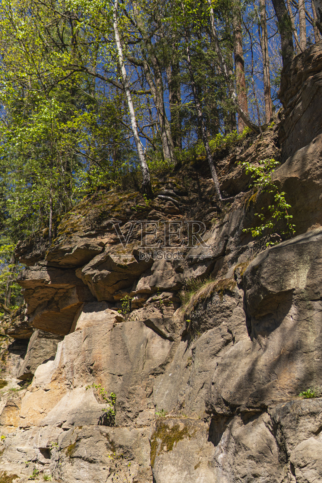 以前采石场的斜坡上长满了小树照片摄影图片