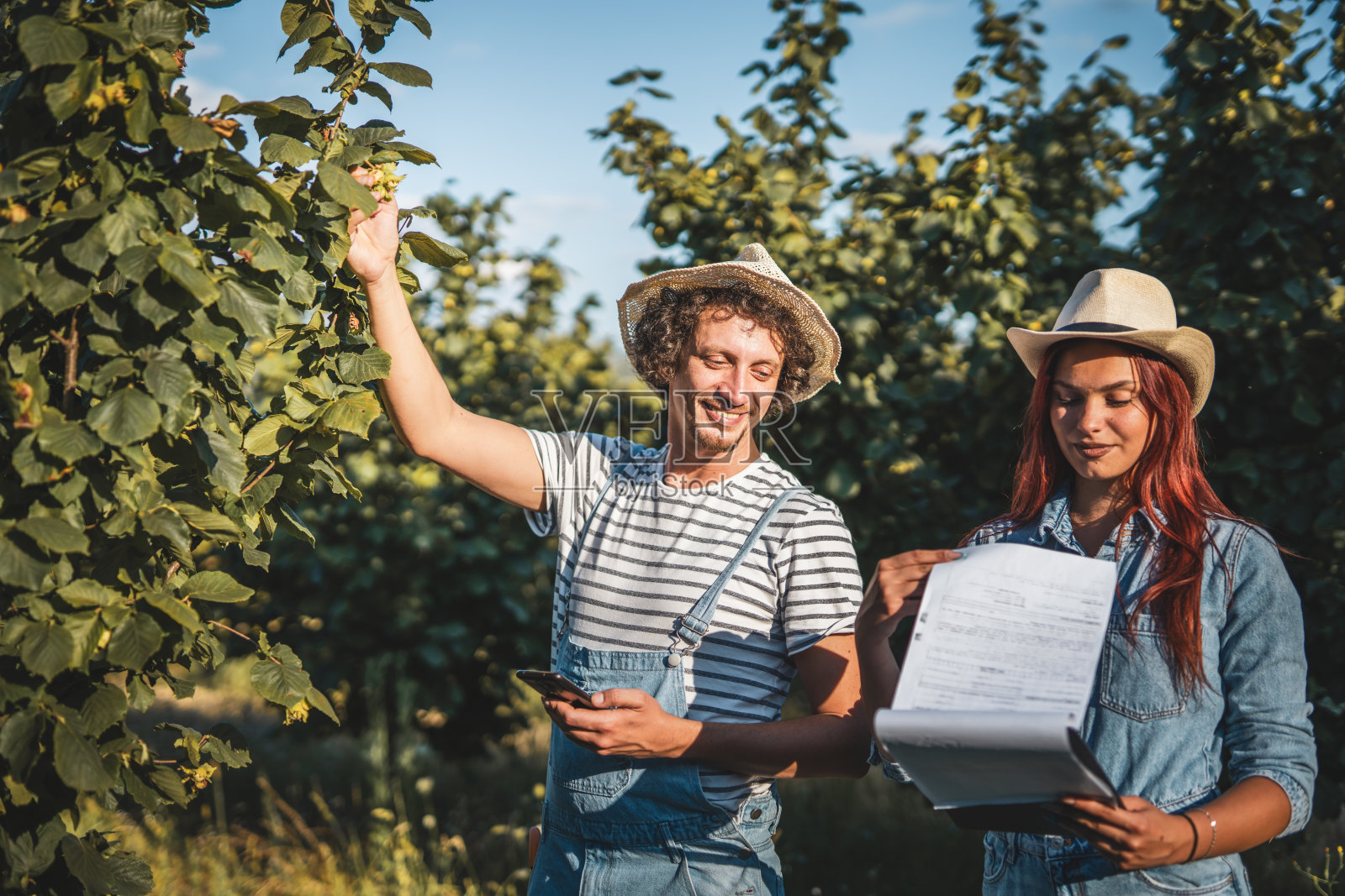 两名在果园工作的农民男女同事检查质量照片摄影图片