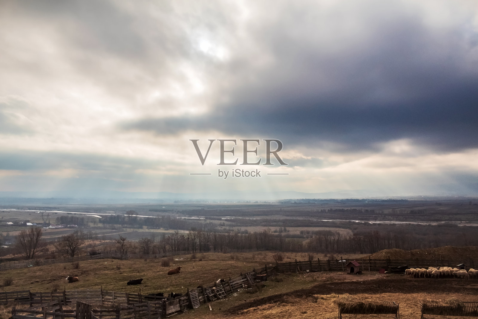 景观-森林-欧洲，罗马尼亚，苏切瓦地区照片摄影图片