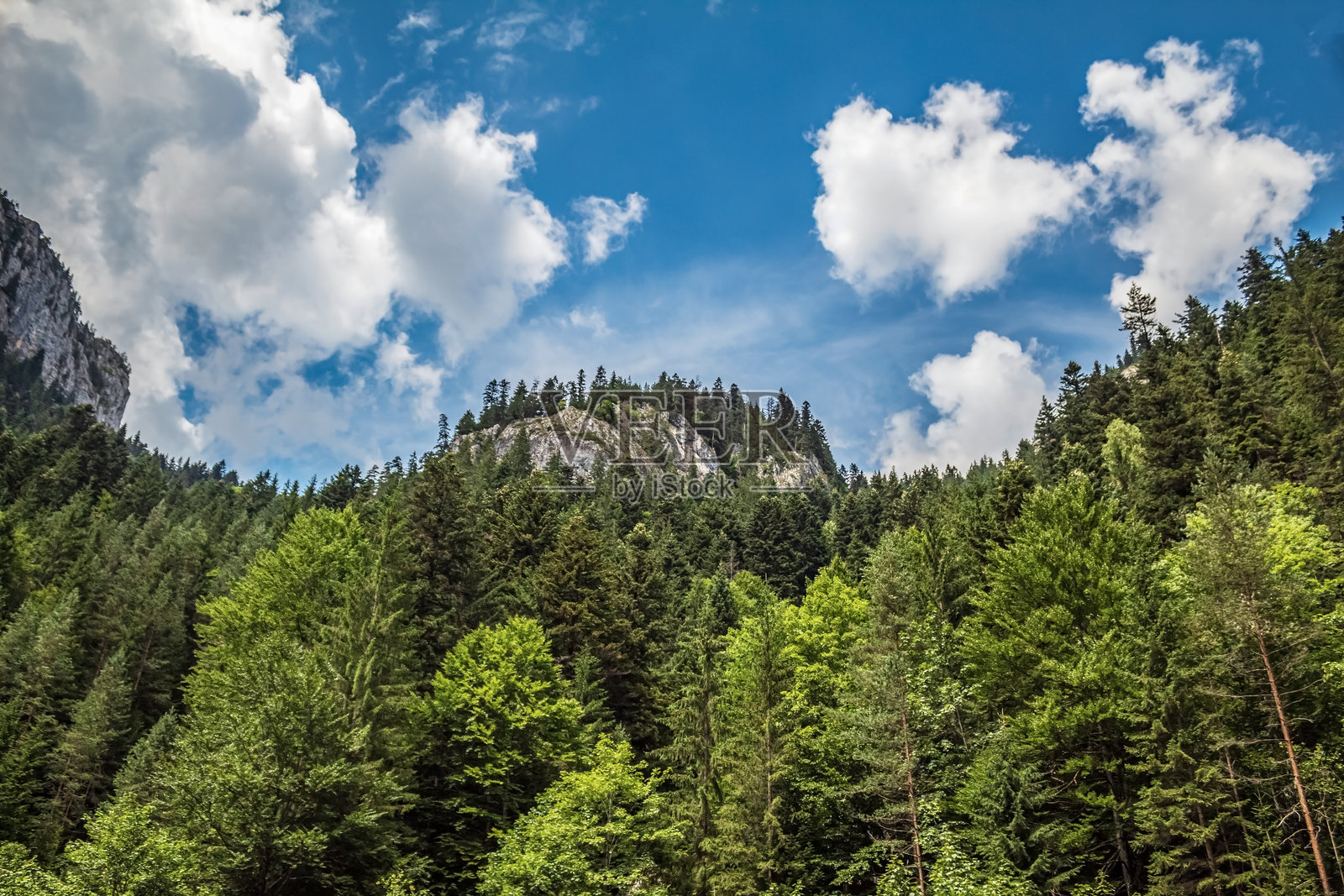 景观-森林-欧洲，罗马尼亚，苏切瓦地区照片摄影图片