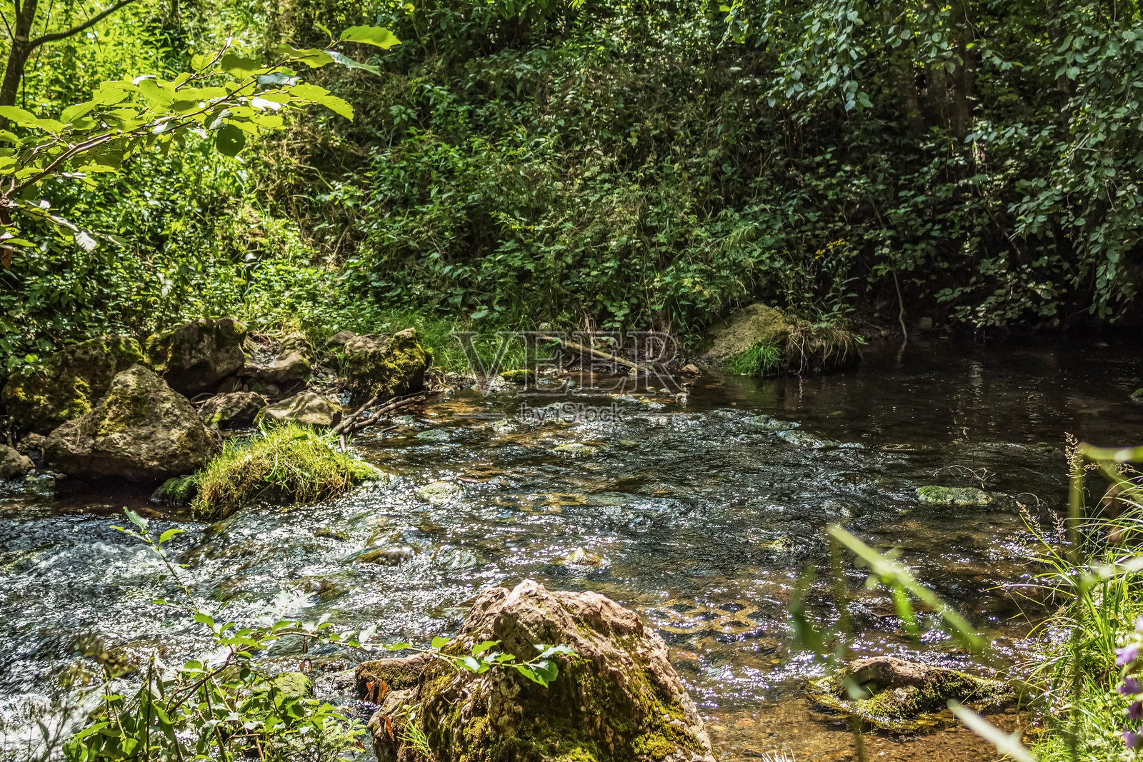 景观-森林-欧洲，罗马尼亚，苏切瓦地区照片摄影图片