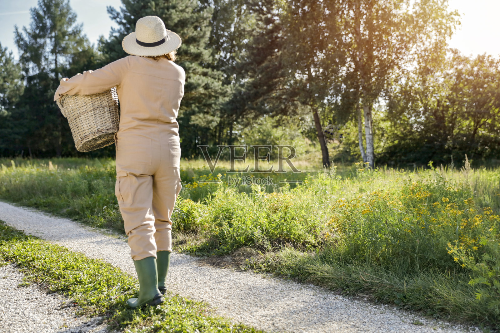 穿着园艺工作服和帽子的农妇走在田野和草地之间的路上。郁郁葱葱的绿色植物和树木的背景。阳光明媚的秋天园艺。照片摄影图片