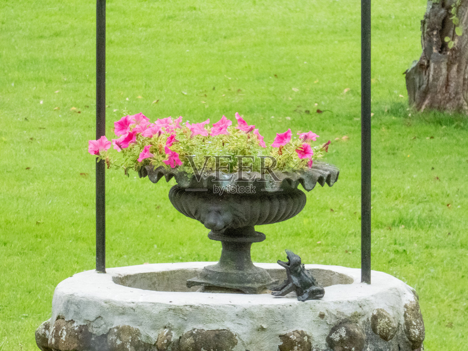 自然界中一天的图形资源照片摄影图片