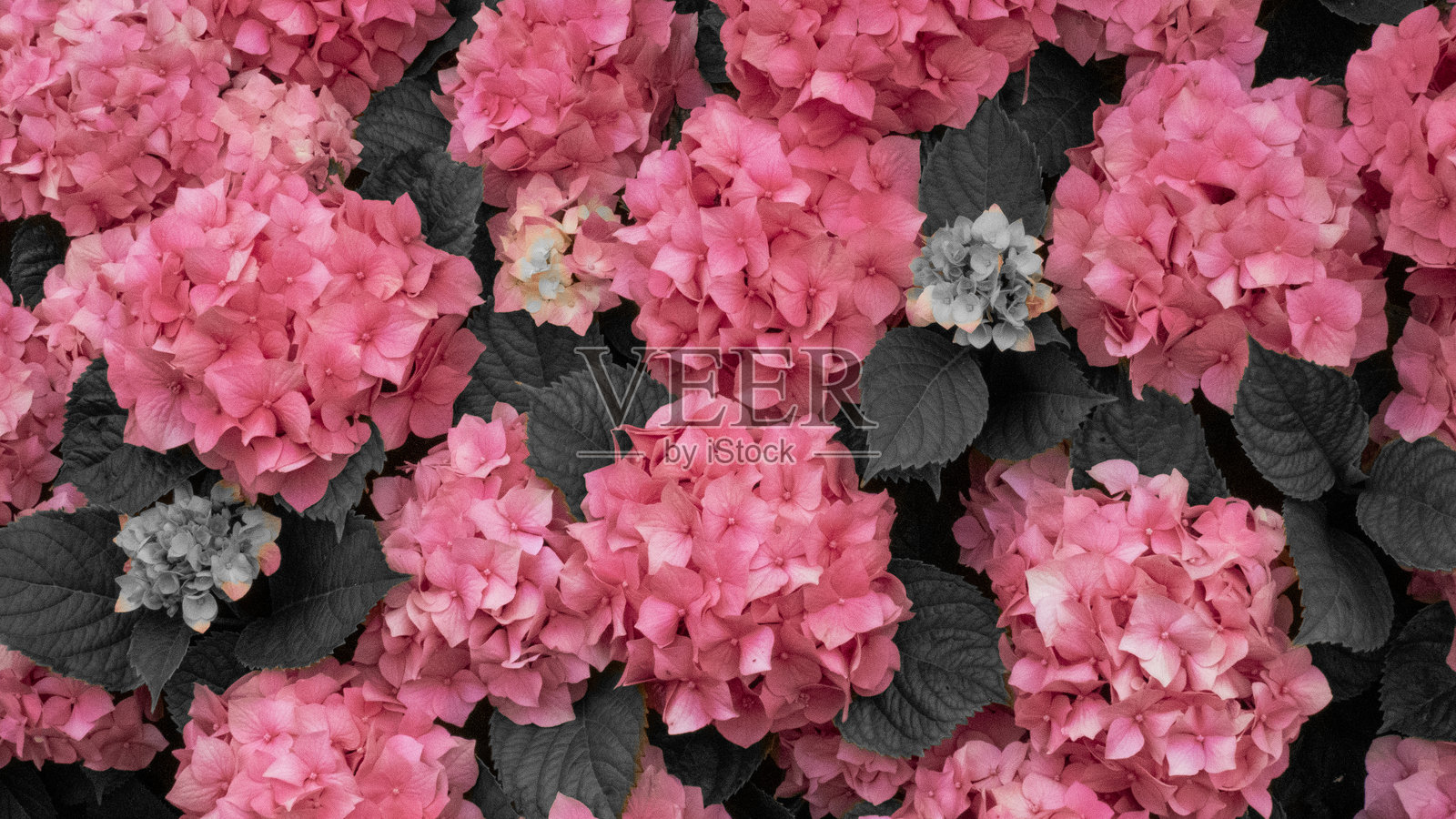 自然界中一天的图形资源照片摄影图片