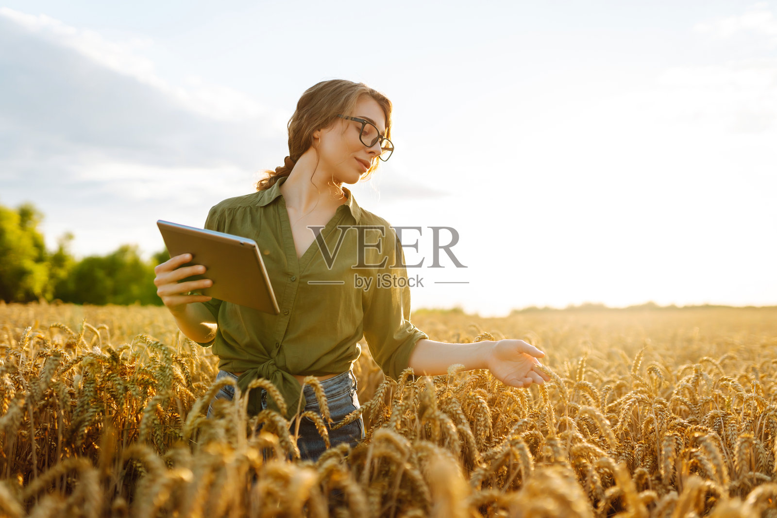 一位农妇一手拿着药片，一手检查麦粒。照片摄影图片