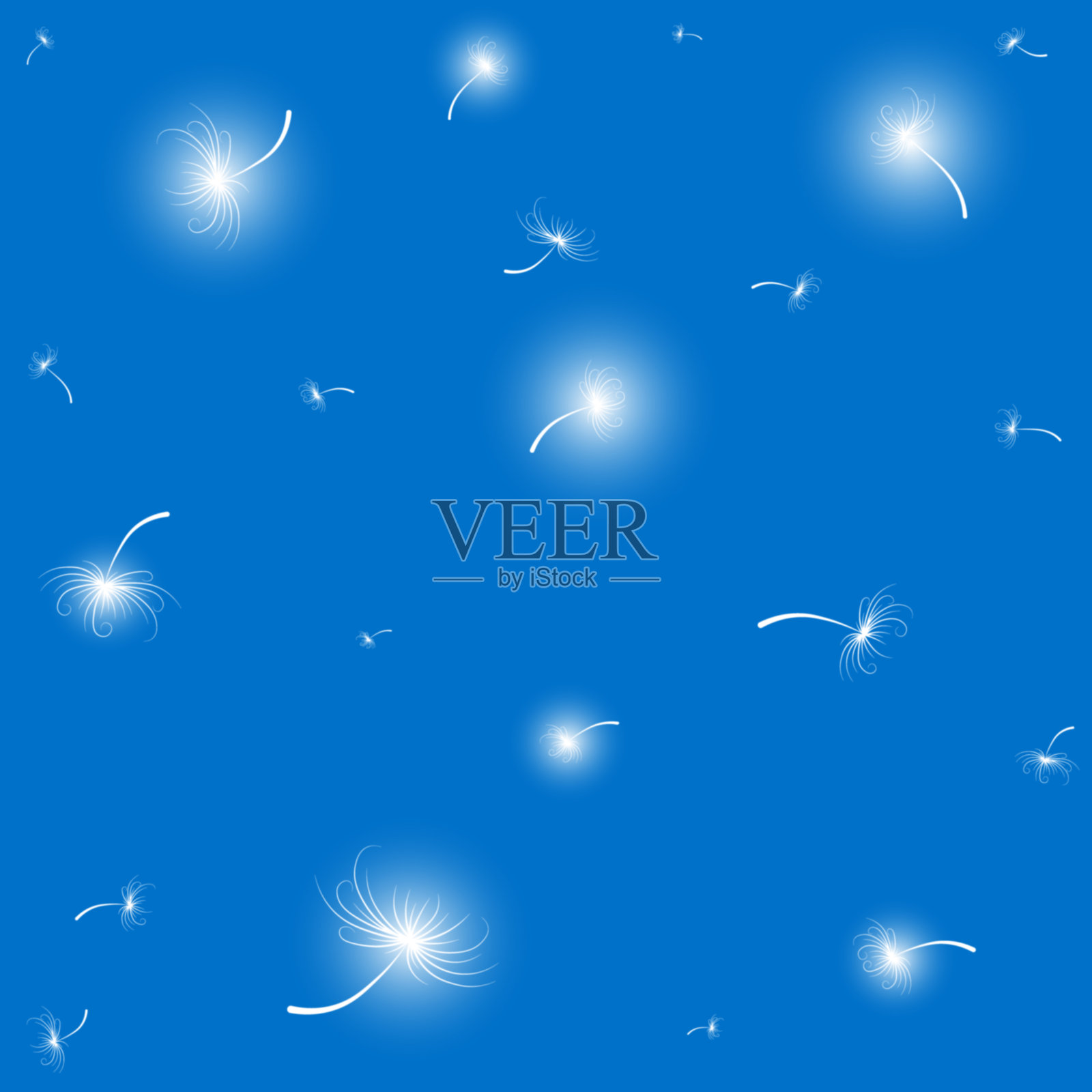 蒲公英飞行的种子，花卉图案与光束，蓝色的背景，矢量插图。插画图片素材