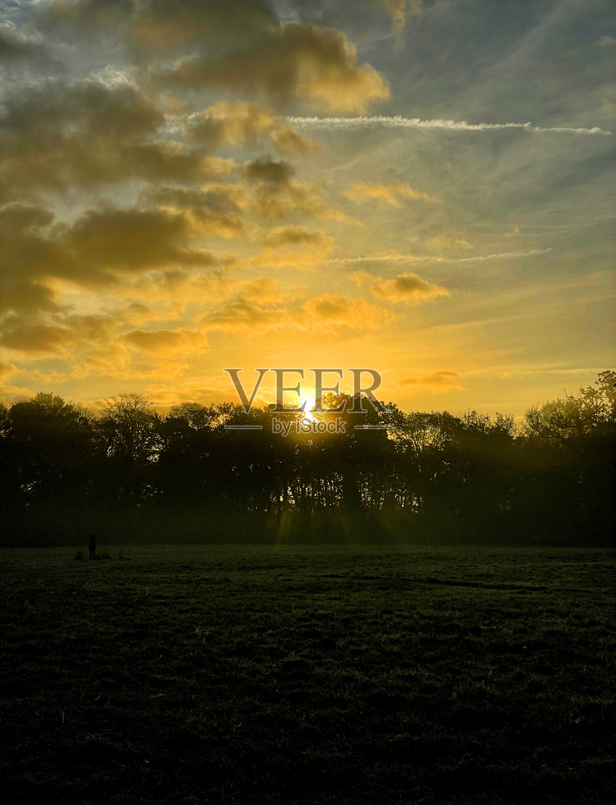 太阳从树上升起照片摄影图片