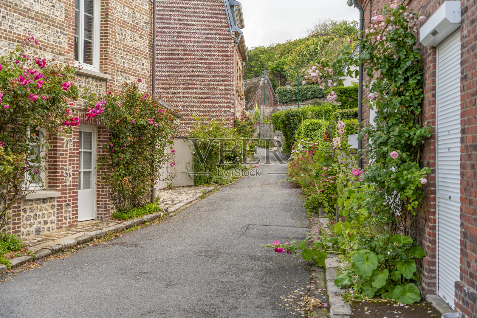 Veules-les-Roses照片摄影图片