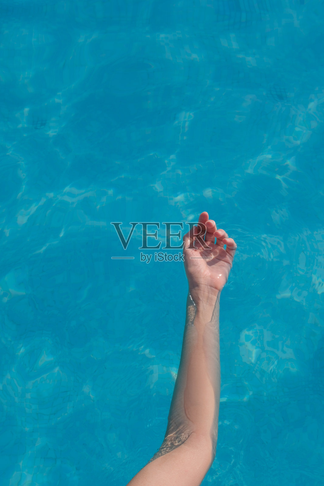 夏末照片摄影图片