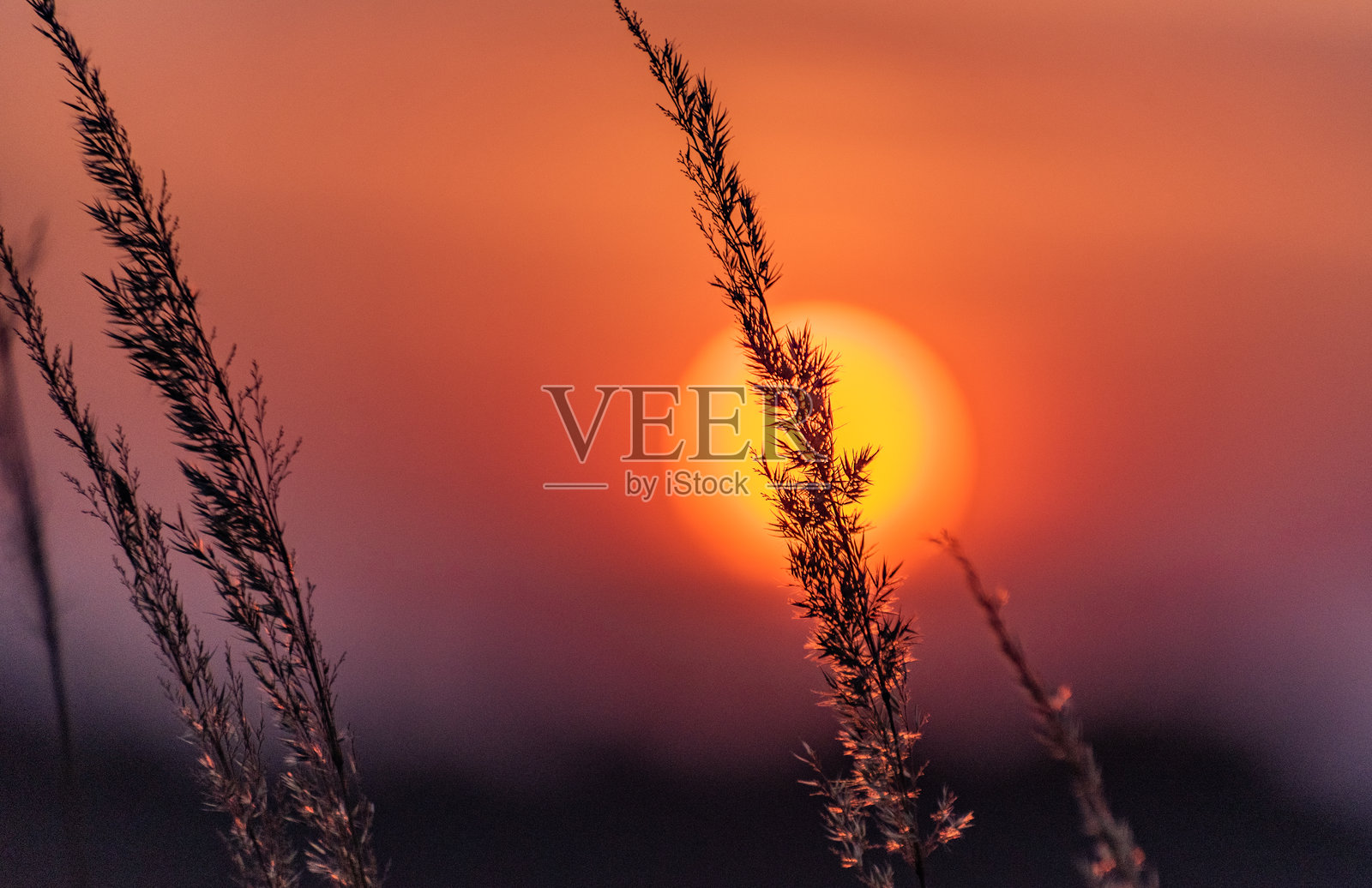 荒野中的日落照片摄影图片