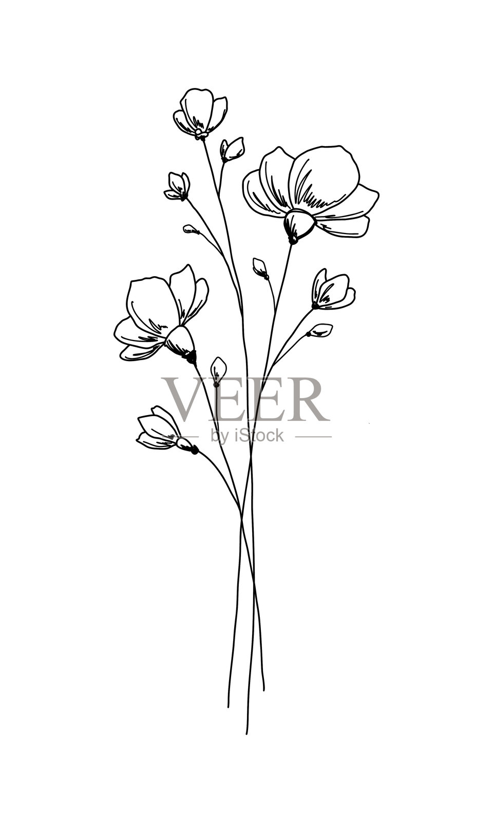 一束抽象的野花。黑白轮廓插图用简单的线条，手绘插画图片素材