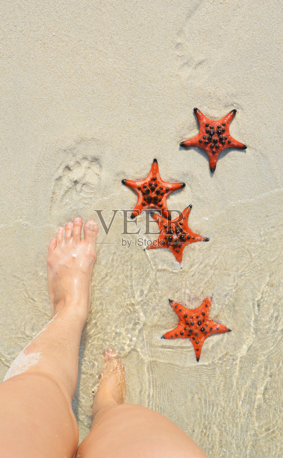 在越南富国岛的海星海滩上与真正的橙色海星合影照片摄影图片