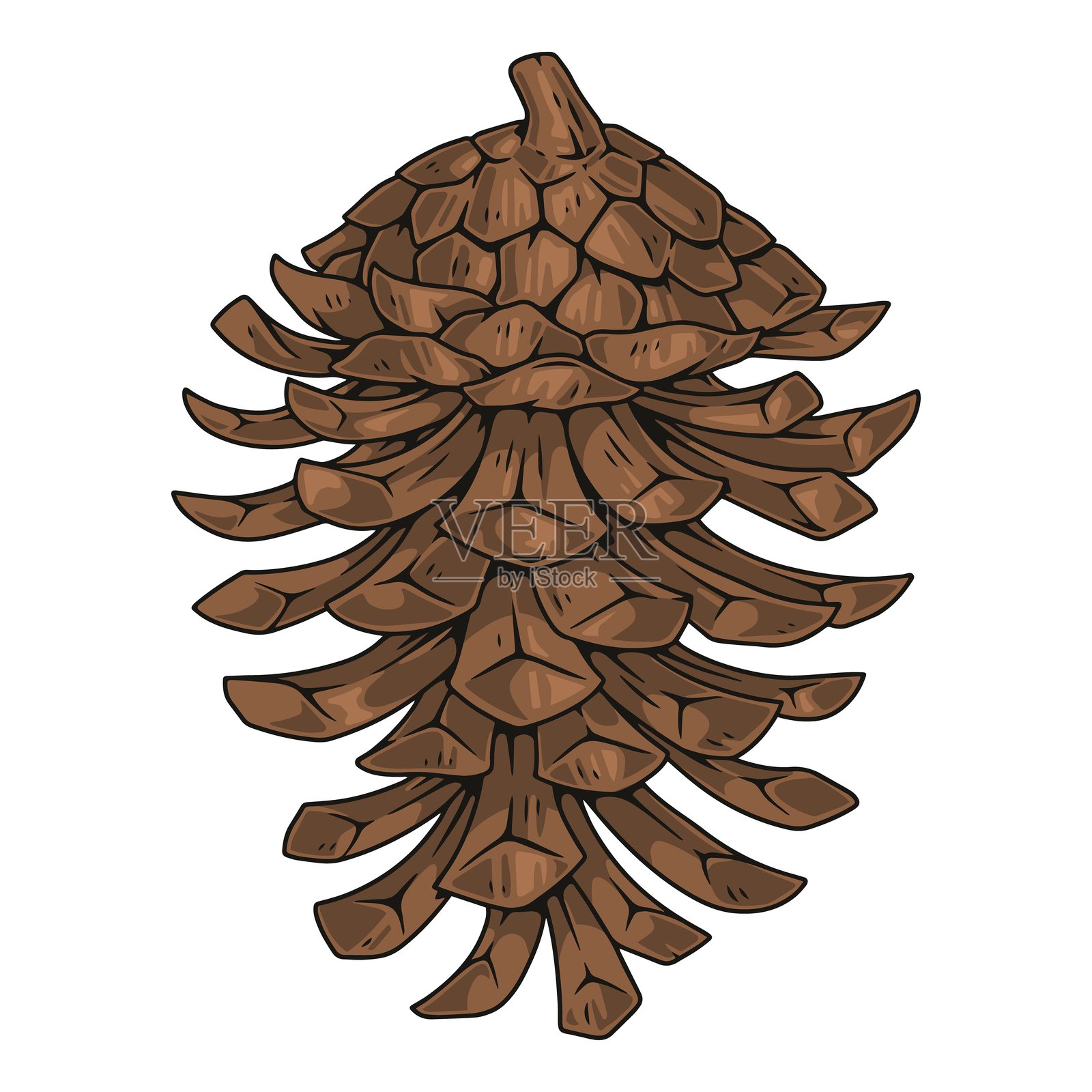 冷杉果复古贴纸五颜六色插画图片素材