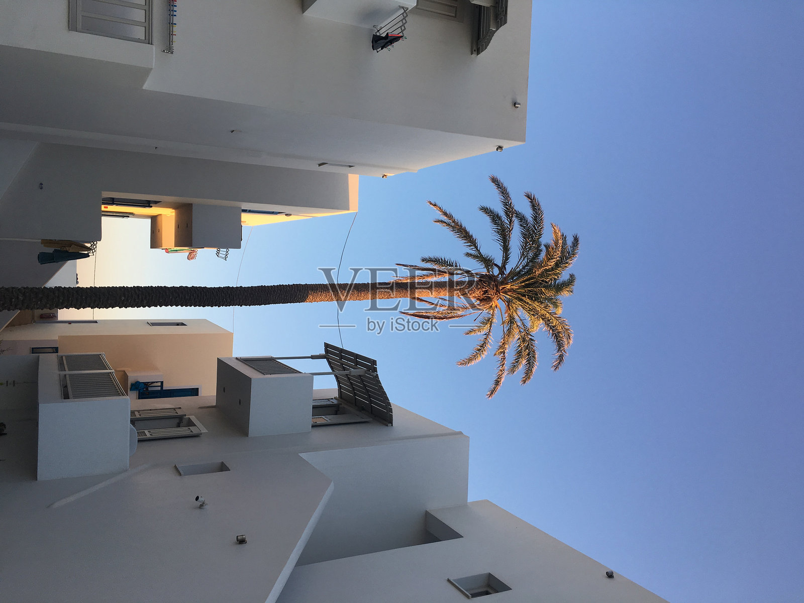 棕榈树和建筑物对天空的低角度视图照片摄影图片