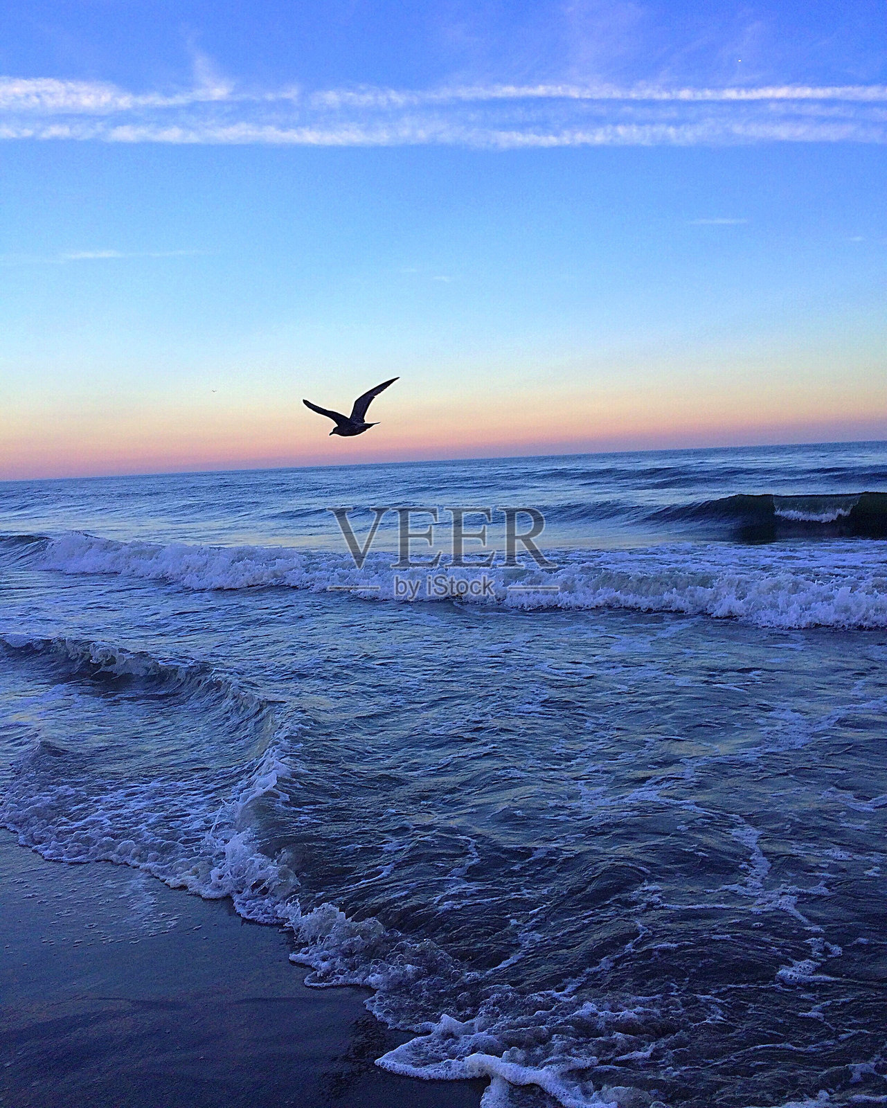 剪影鸟飞过大海对着天空照片摄影图片