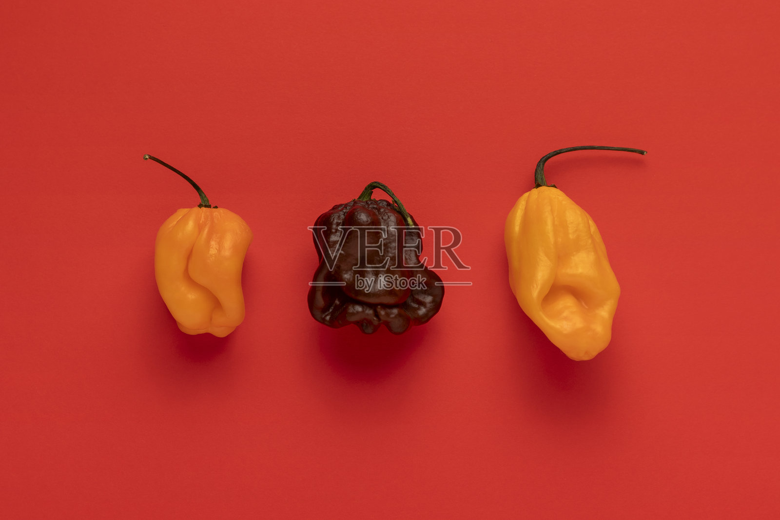 黄色哈瓦那辣椒和巧克力超级辣椒。照片摄影图片