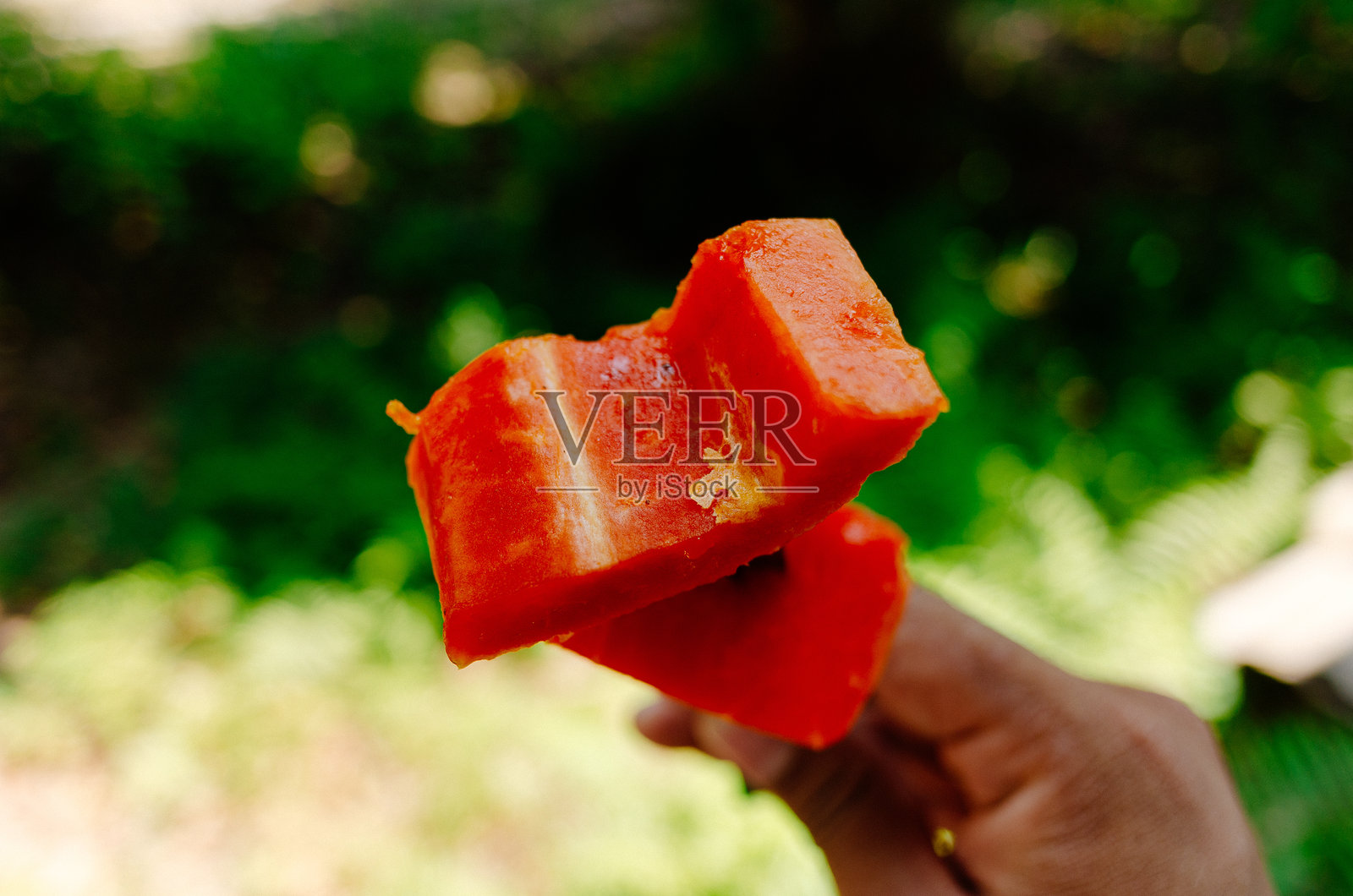 亚洲甜木瓜照片摄影图片